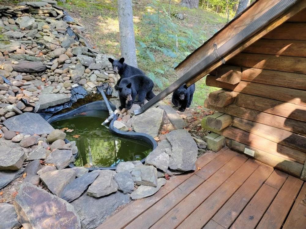 Very Private, Real Log Cabin With Hot Tub! Сивиървил Екстериор снимка